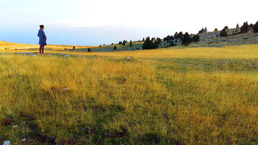 Mejorar color paisaje